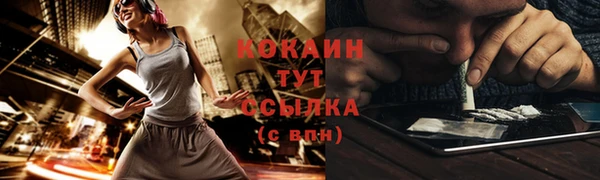 тгк Богородск
