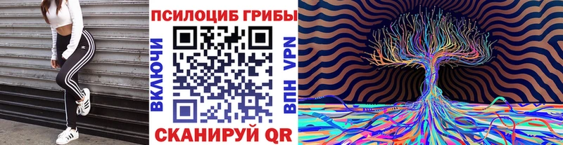 Псилоцибиновые грибы Cubensis  Дмитровск 